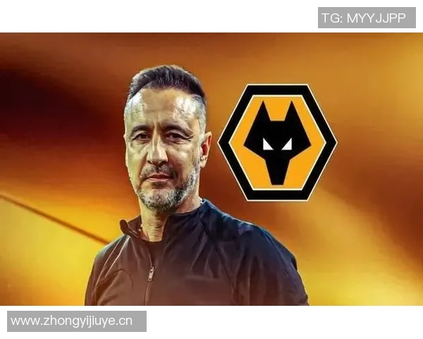 英超球队临时签约球员情况 哪些球员成功救火